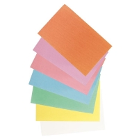 Traypapier Diverse kleuren | 18x28cm. | 1x250 stuks